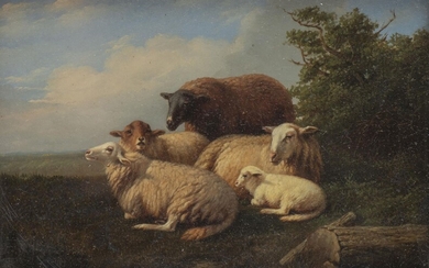 Eugène Rémy MAES (1849-1931), Attribué à, "Troupeau de moutons au repos", Huile sur bois