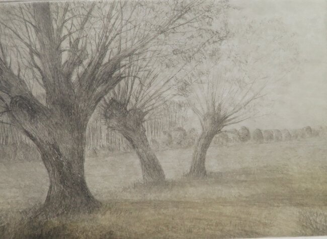 Harry Horn, Willow Tree, German Etching lmtd. Ed. 1990