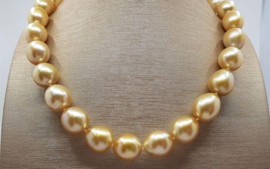 Large 12x13mm South Sea Pearls Gold - Necklace