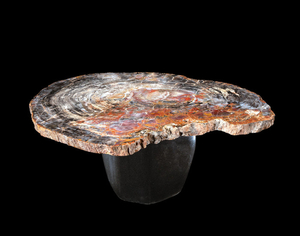 Large Petrified Wood Slab on Stone Table Base