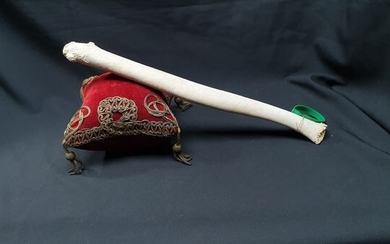Large Walrus Penis Bone (Baculum) - - Odobenus rosmarus - 66×24×35 cm - FR 2003400017-I
