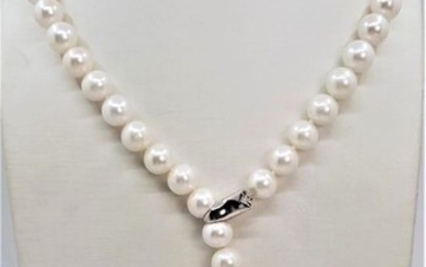 No Reserve - 11x12mm White Cultured Pearls - 925 Silver - Necklace