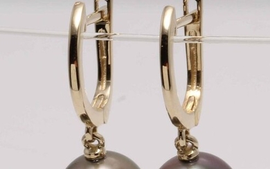 No Reserve Price - 14 kt. Yellow Gold- 10mm Round Tahitian Pearls - Earrings