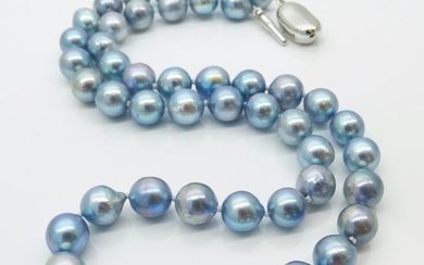 No Reserve Price - Akoya Pearls, Natural Blue, 7.5 -8 mm Silver - Necklace