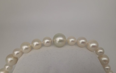 No Reserve Price - Bracelet - 18 kt. Yellow gold Pearl