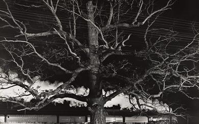 O. WINSTON LINK (1914-2001) Giant Oak, Max Meadows, Virginia.