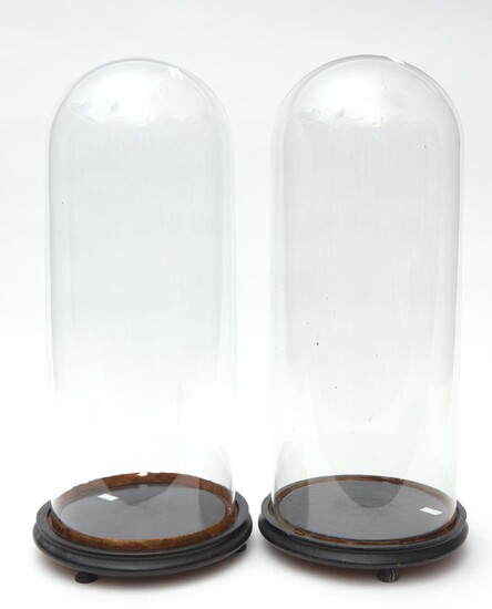 PAIR OF LARGE VICTORIAN GLASS DOMES ON EBONISED VASES H.51CM EA