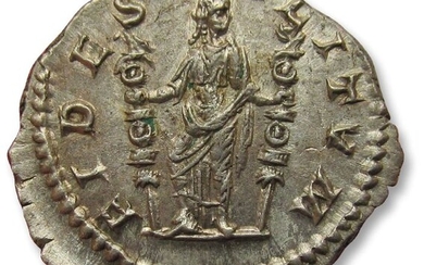 Roman Empire. Macrinus (AD 217-218). Silver Denarius,Macrinus, Rome mint 217-218 A.D. - FIDES MILITVM, Fides holding two standards