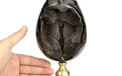 Sectioned Dark Septaria Geode Egg on Marble and Brass base - 240×115×110 mm - 3060 g