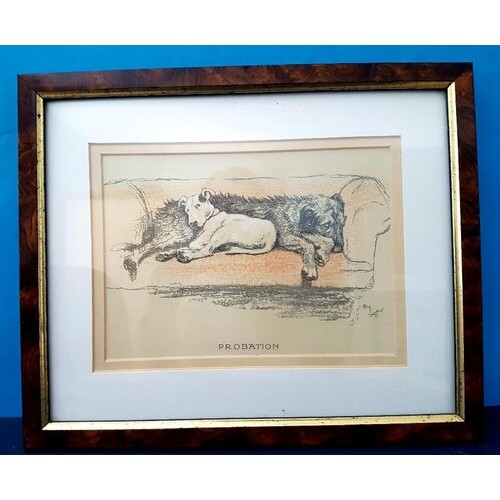 Set of 3 vintage Cecil Aldin titled Dog Prints 12cm x 17cm, ...