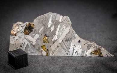 Seymchan Stony-Iron Meteorite - 76.6×15.3×33.8 mm - 108.9 g - (1)