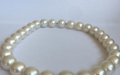Tasci Designe Jewellery - 18 kt. Gold, South sea pearls, 14-18mm - Necklace South Sea pearls