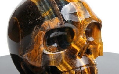 Tiger iron Exceptional Tiger iron skull - 12×12×10 cm - 1040 g