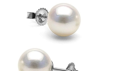 White Akoya Pearl Stud Earrings, 8.0-8.5mm