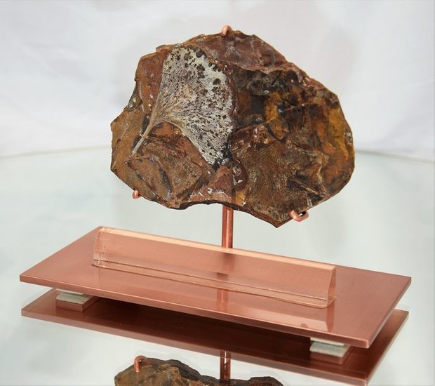 fossil ginkgo leaf - in combination with rock crystal - and copper - Ginkgo adiantoides / Gymnosperme - 18.5×8.3×13 cm