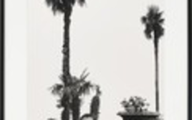 Helmut Newton, Panoramic Nude with Gun, Villa d'Este, Como