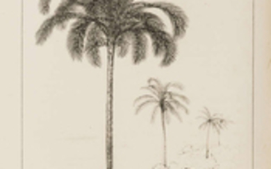 Wallace (Alfred Russel) Palm Trees of the Amazon and their uses, first edition, presentation copy from the author, original cloth, 1853.