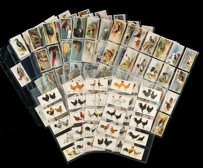 5 Full and Partial Sets Birds Cigarette Cards