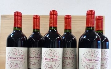 6 bouteilles de Saint Emilion Grand Cru 2014... - Lot 16 - Enchères Maisons-Laffitte