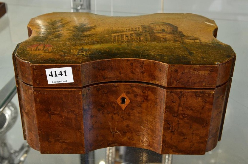 A 19TH CENTURY FRENCH HAND PAINTED TEA CADDY IN BURR WALNUT (KEY IN OFFICE) (some losses)