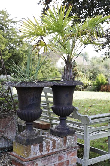 A pair of cast iron urns