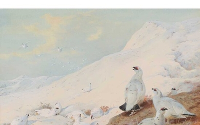 ◆ ARCHIBALD THORBURN (SCOTTISH 1860-1935) PTARMIGAN IN THE SNOW