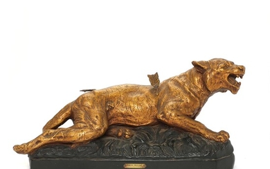 SOLD. Aldo Bartelletti 1898-1976, after: A wounded tiger. Painted fired clay. L. approx. 55 cm....