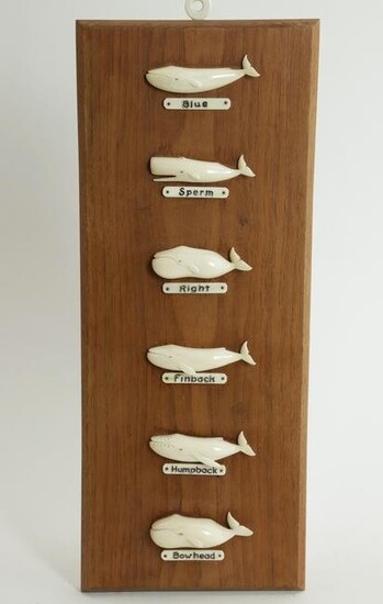 Aletha Macy Six-Species Whale Plaque, circa 1958