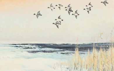 SOLD. Artist unknown, 20th century: Goldeneye ducks over a shore at winther time. Signed. Oil on canvas. 44 x 66 cm. – Bruun Rasmussen Auctioneers of Fine Art