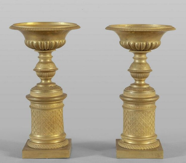 Coppia di vasi in bronzo dorato in stile Carlo X
