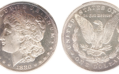 Dollar 1880-S - Morgan (KM110) - Obv: Laureate liberty head...