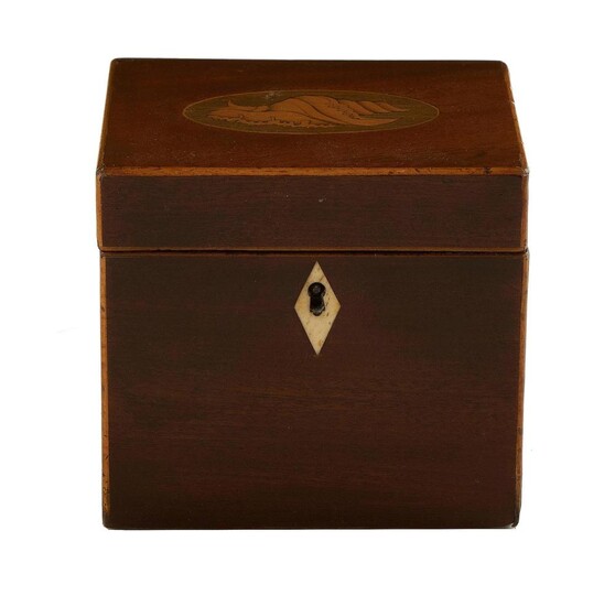 Georgian conch-shell inlaid and stained tea caddy