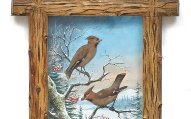 H. Wolfe, Winter Birds, Taxidermy Art