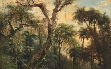 Henry Cleenewerck (1818-1901), The Cuban Rainforest