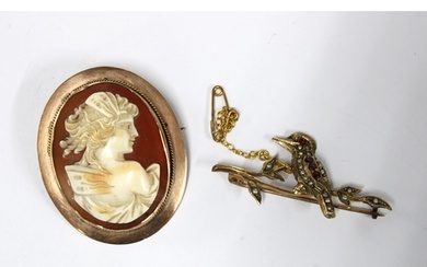 Late 19th century Kookaburra seed pearl brooch set in yellow...