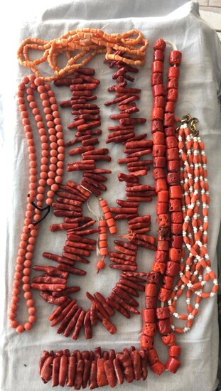 Lot of coral sponge and coral-like strings