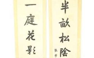 Pair Chinese Hand Written Calligraphy Scrolls