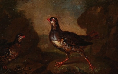 Philipp Ferdinand de Hamilton Bruxelles 1666 - 1750 Vienne "Perdrix" Huile sur toile, rechampi 30...