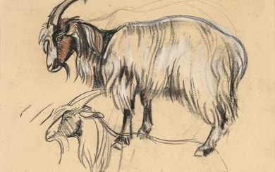 Rudolf Bonnet (1895-1978) 'Study of goats', signed lower right and 'Serviucia' upper right, charcoal on paper. H. 25 cm. W. 35 cm. Added: 9 studies by Bonnet, provenance: Collection Dr. H. de Roever-Bonnet.