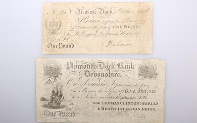 TWO 19TH CENTURY BANK NOTES, the first Plymouth Dock