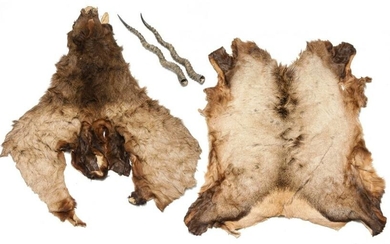 TWO ANIMAL HIDES AND PAIR OF HORNS.