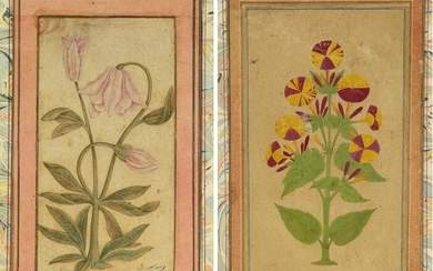 TWO MINIATURES DEPICTING FLOWERS, INDIA, DECCAN