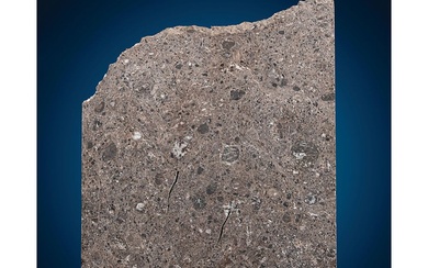 Tisserlitine 001 Lunar Meteorite Slice