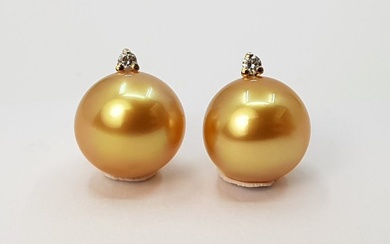 10x11mm Deep Golden South Sea Pearls - 14 kt. Yellow gold - Earrings - 0.04 ct