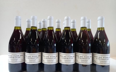 12 bouteilles de Vins de l'Herault. Rouge... - Lot 17 - Enchères Maisons-Laffitte