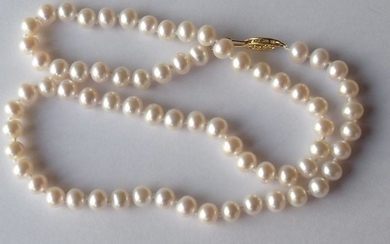 14 kt. Akoya pearls, Yellow gold - Necklace