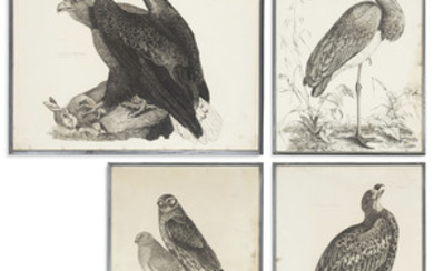 After Prideaux John Selby, [Birds]: 10 Plates