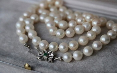 18 kt. Akoya pearls, White gold - Necklace - salwater Japanese Akoya pearls ca. 7.5-7.8mm - Emerald