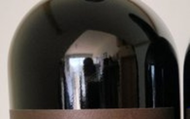 2021 Mazzei Castello di Fonterutoli 'Siepi' - Tuscany - 1 Bottle (0.75L)