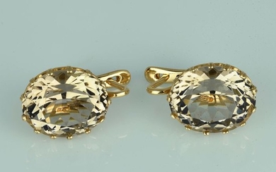 14 kt. Gold - Earrings